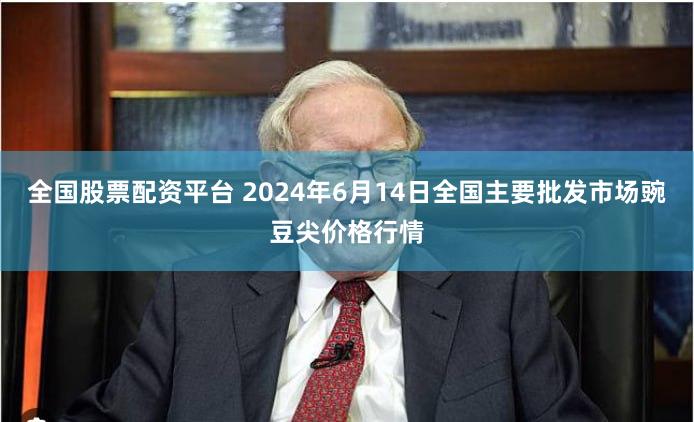 全国股票配资平台 2024年6月14日全国主要批发市场豌豆尖价格行情